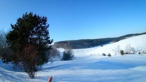 Удачная Охота на Зайца с Русской Гончей 10.02.24