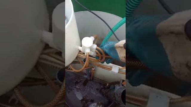 Как почистить септик Евробион самостоятельно