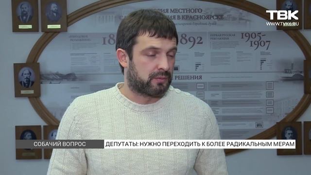 Бродячие собаки в Красноярске смотреть онлайн