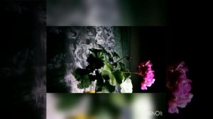 Как почистить ступни от старой кожи раз и на всю жизнь. Эффект ,,бомба,,