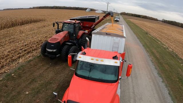 Red Gold - Corn Harvesting - CASE IH Axial Flow 5130 - Magnum™ 250 -Demco 750 - Harvest 2020 - 5K