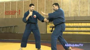 Элементы ударной техники