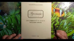 Прописи для учащихся 1-го класса. А. И. Воскресенская и Н. И. Ткаченко