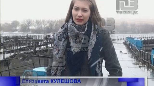 Рыбхоз черная икра