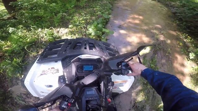 Биг фут самоделка 4x4 и квадроциклы в лесной чаще  Cfmoto x8 x10 Guepard 650 Stels Leopard