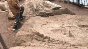 Какие фигуры можно увидеть в парке каменных скульптур в Кушнаренково