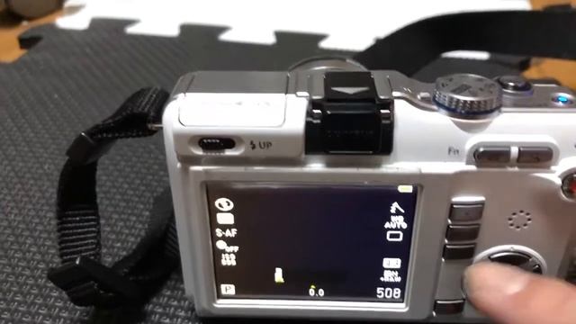 オリンパス E-PL1 手ブレ補正機能が故障 смотреть онлайн