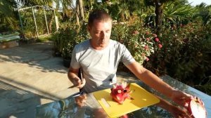 Почти все о дрэгон фруктах!