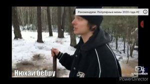 Мемы 2020. Только топ мемы, вспомним их вместе.