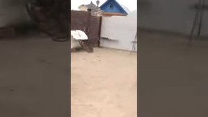 Работа двигателя 3L Тойота Дюна