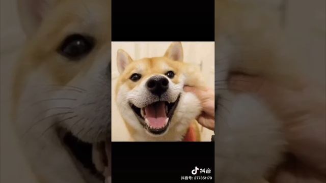 小柔SeeU - Best TikToker xiaorouseeu cosplay смотреть онлайн