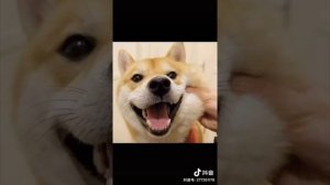 小柔SeeU - Best TikToker xiaorouseeu cosplay