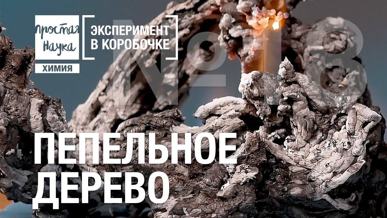 №18 - ПЕПЕЛЬНОЕ ДЕРЕВО смотреть онлайн