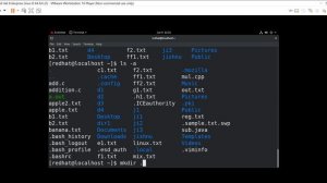 touch mkdir vi ls cd | commands in linux