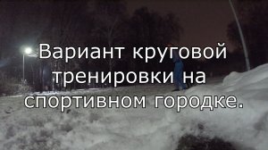 Круговая тренировка лыжников