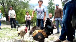 Точикистон Tajikistan Tabushn Точики