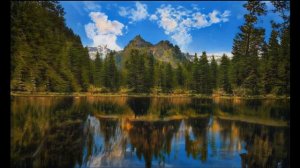 Исполнитель  Ислам Джамалдинов