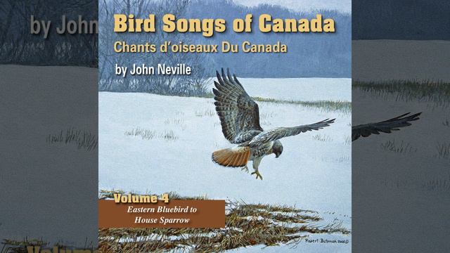 Magnolia Warbler смотреть онлайн