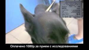 Влада сьездила к офтальмологу в г.Пермь