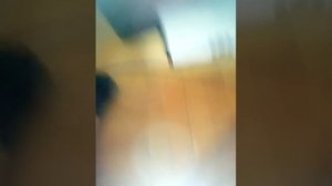 Как пользоваться принтером