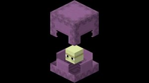 All Minecraft Shulker Sounds | Sound Effects for Editing ?
