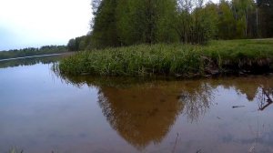 Убойный воблер на щуку!!!Китайская "RUDRA" с AliExpress.