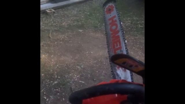 Homelite XL Top Handle. Sentimental Chainsaw Purchase #homelitexl #homelite #chainsaw