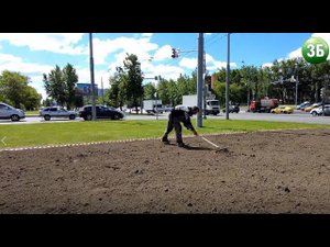 Оформление летних цветников в СВАО