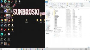 How to Install Seamless Coop & Randomizer together in Elden Ring
