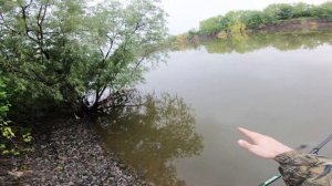 Рыбалка на Ине под Бугринским мостом на спиннинг.