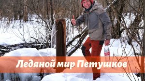 ПОСЛЕДНИЙ ПОХОД ЗИМЫ. Ледяной мир Петушков