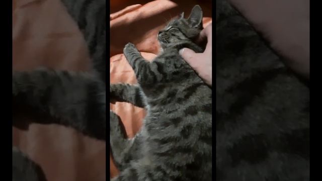 Чистюля моя!