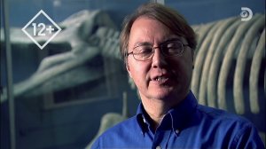 Сквозь кротовую нору