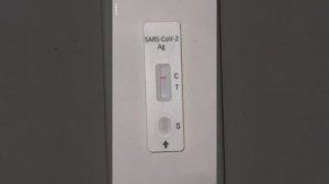 SARS-COV-2 Ag Rapid selftest. быстрый тест на COVID в домашних условиях, как мы его делаем для школ