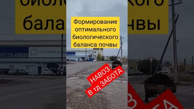 Навоз конский коровяк свиной куриный соловьиный помет  удобрение советы огород сад норма внесения