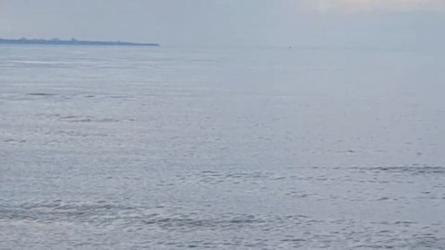 Черноморск виды