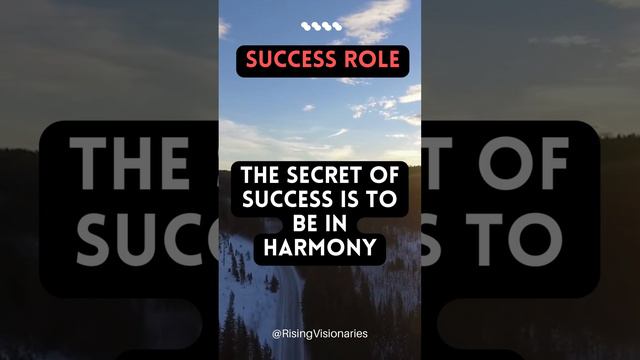 Success Role By Cyril Connolly