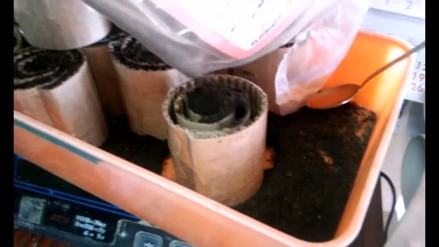 рассада в улитку смотреть онлайн