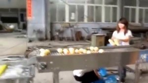 Яблочный сок на профессиональной шнековой соковыжимале