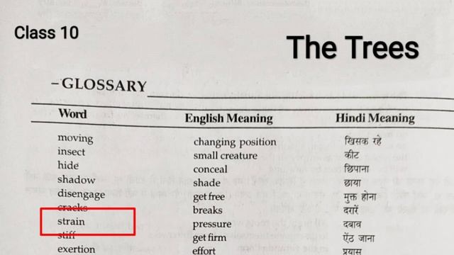 The Trees Poem Class 10 | The Trees Vocabulary Class 10 | The Trees Poem Glossary in Hindi | смотреть онлайн