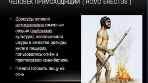 Антропогенез презентация по биологии