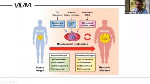 Митохондриальное здоровье А. Тарасевич