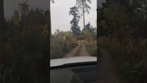 дорога из СНТ Звероножка