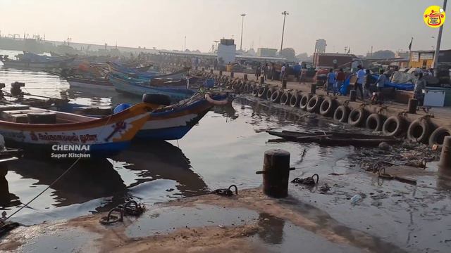 Kasimedu SUNDAY Fish Market | India's Biggest Fish Market | Live Fish Auction in Kasimedu | Chennai