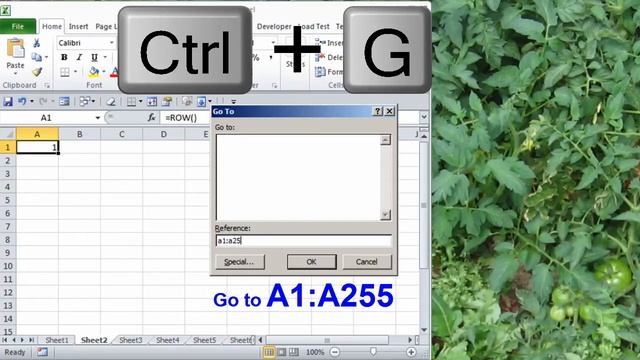 Tip: Insert Foreign and Special Characters using ASCII codes