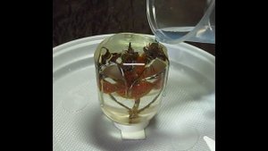 Светильник из эпоксидной смолы своими руками.  Epoxy resin Lamp - Resin Art