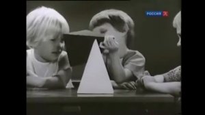 Обе белые (стадный инстинкт)