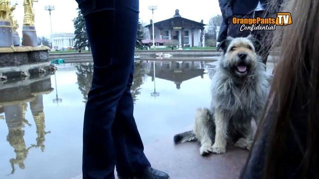 OrangePantsShow Confidential - Выпуск 2: Косплей-сходка 28.04.13 в Москве смотреть онлайн