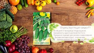Пучковые огурцы выращивание ? Лучшие сорта огурцов ❗ Обзор семян