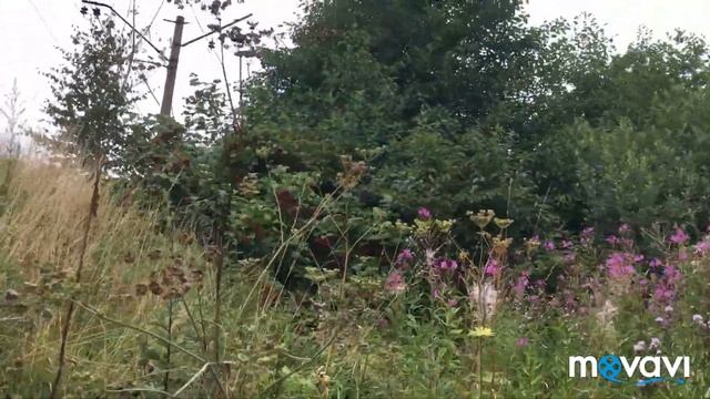 "Рыбалка" ? в окрестностях Обнинска смотреть онлайн